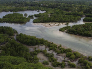 bargaid-lagoon-3